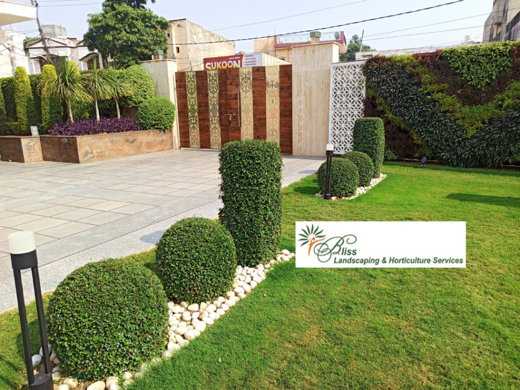 Residential Lawn Design