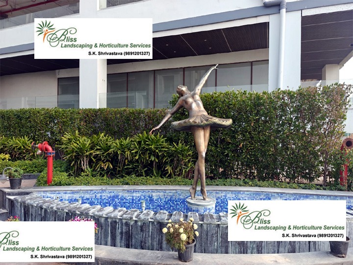 Residential Pool Landscape