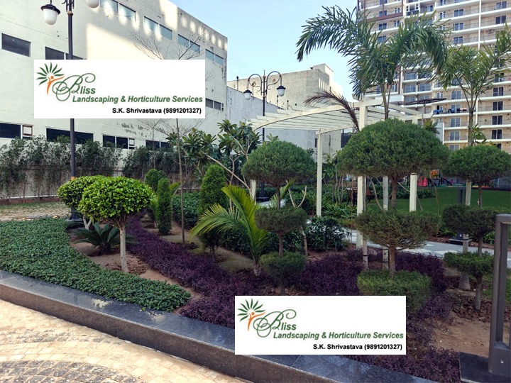 Commercial Complex Landscape