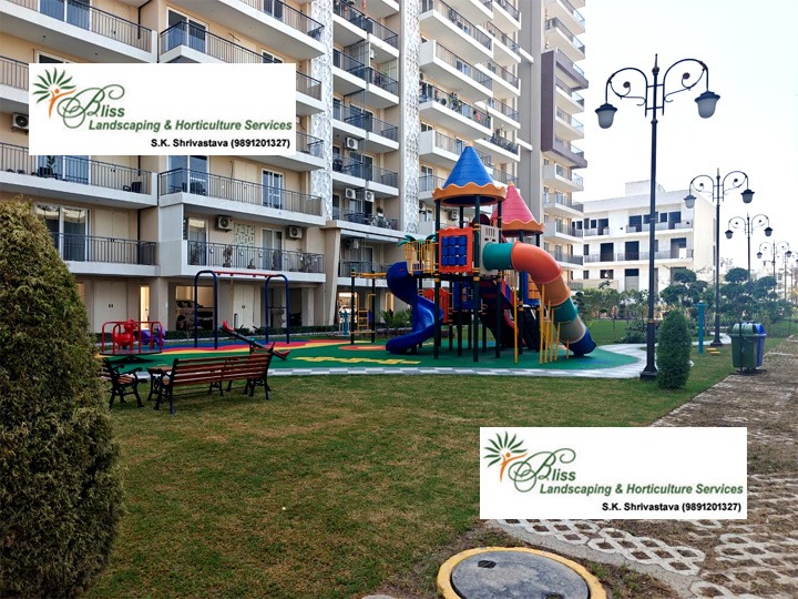 Commercial Playground Area