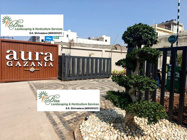 Commercial Entrance Design