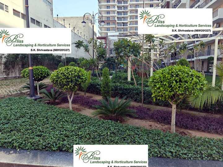 Commercial Courtyard