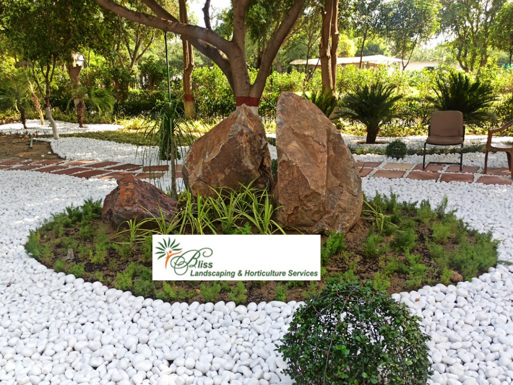 Commercial Rock Garden
