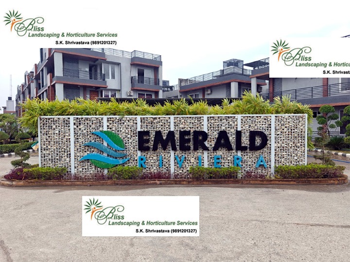 Commercial Entrance Feature