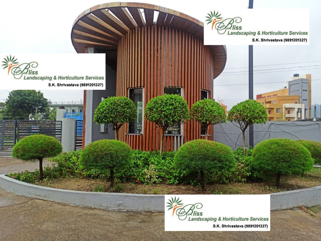 Resort Wooden Structure