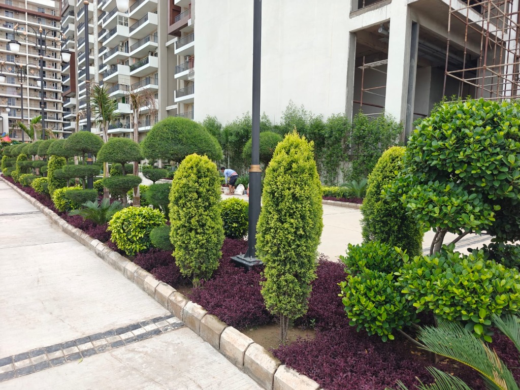 Resort Topiary Garden