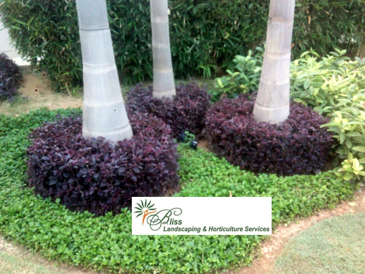 Residential Garden Design