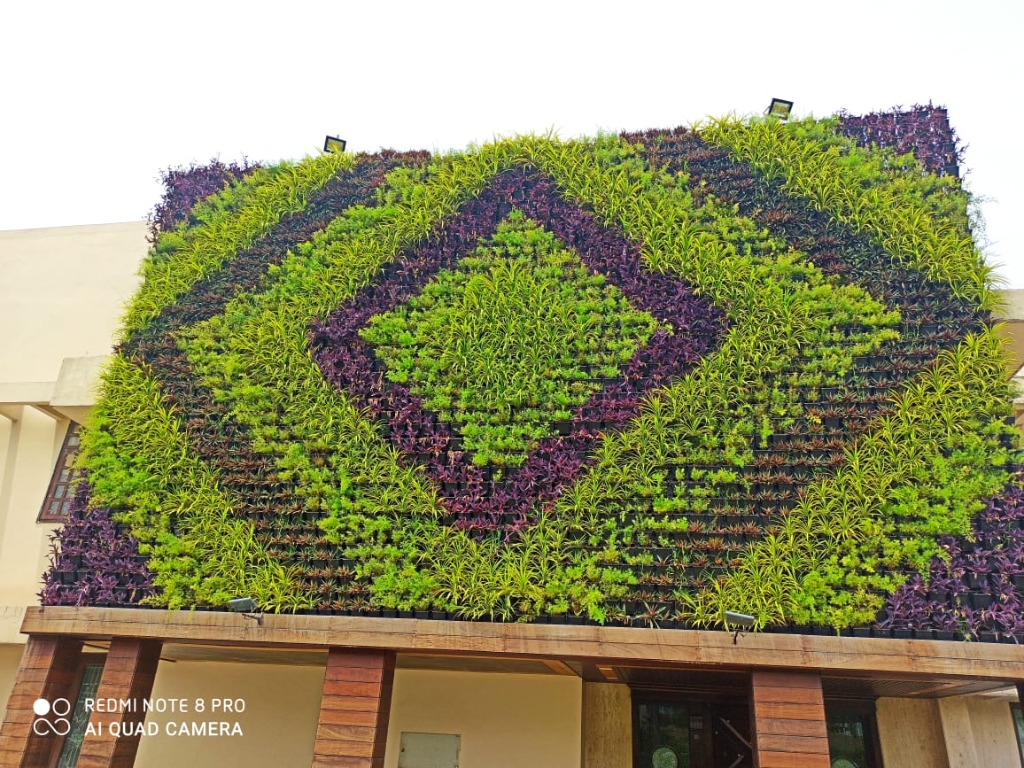 Vertical Green Wall Installation